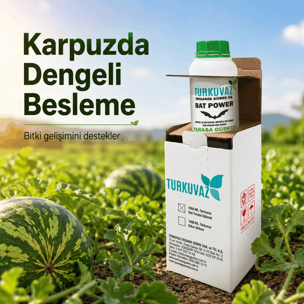 Turkuvaz Bat Power Organik Sıvı Yarasa Gübresi (Konsantre)