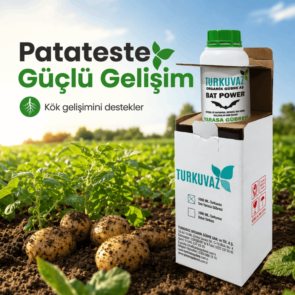 Turkuvaz Bat Power Organik Sıvı Yarasa Gübresi (Konsantre)