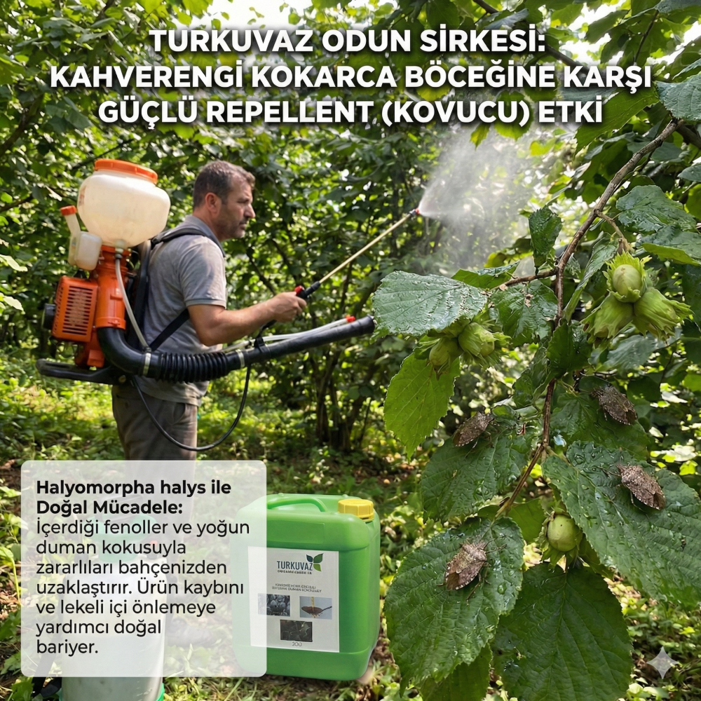 Vinaigre de bois naturel Turkuvaz (Wood Vinegar)