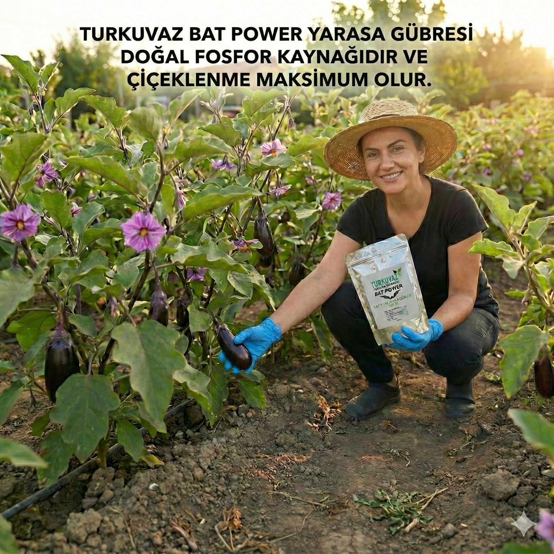 Turkuvaz Bat Power Organik Mikron Toz Yarasa Gübresi (Katkısız)