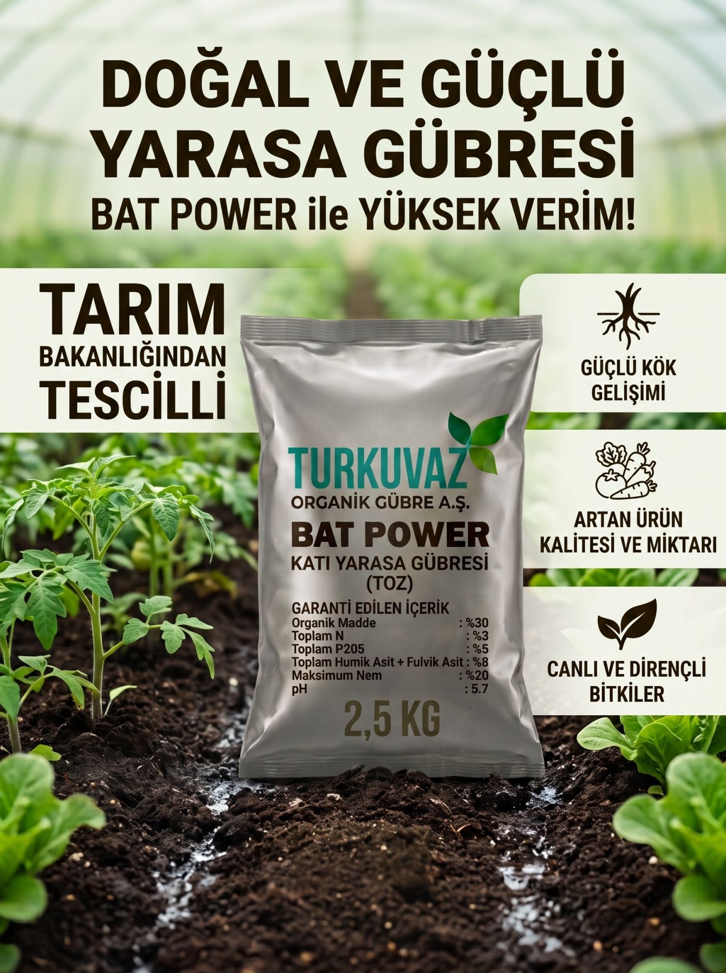 Turkuvaz Bat Power Organik Mikron Toz Yarasa Gübresi (Katkısız)
