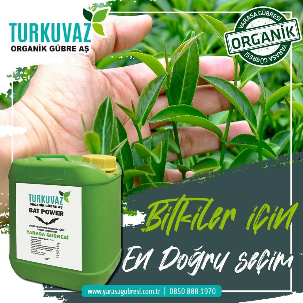 Bat Power – Engrais organique liquide au guano de chauve-souris (concentré)